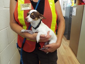 Picture of Winnie