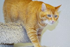 Picture of Marcella