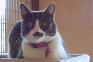Picture of Mia