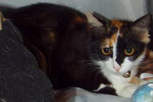 Picture of Nina