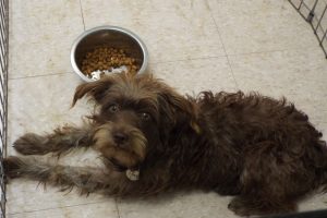 Picture of Shelly