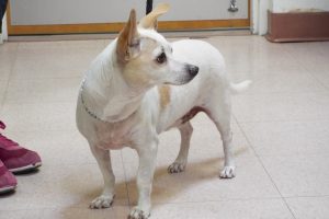 Picture of Denny
