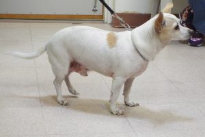 Picture of Denny