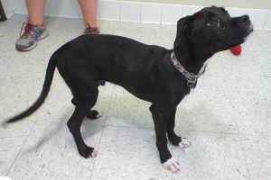 Picture of Gunther