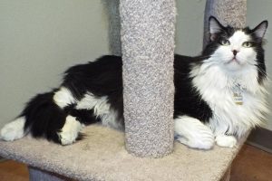 Picture of Oliver