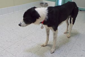 Picture of Edie
