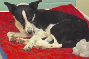 Picture of Edie