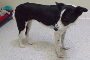 Picture of Edie