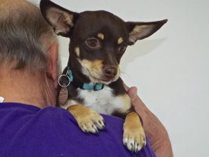 Picture of Roo