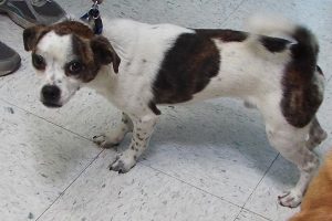 Picture of Billy