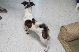 Picture of Billy