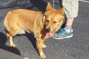Picture of Cyera