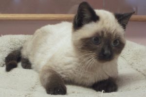 Picture of Emily