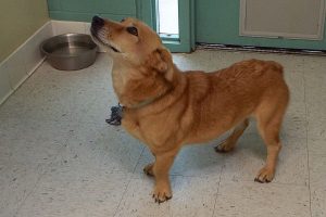 Picture of Maggie