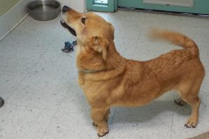 Picture of Maggie