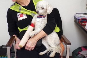 Picture of Max