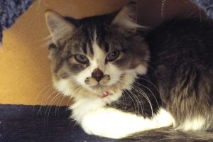 Picture of Milly