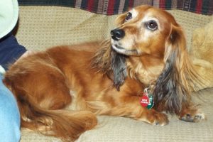Picture of Hercules