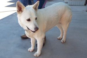 Picture of Bell