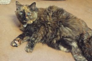 Picture of Sophia