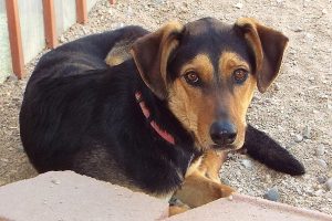 Picture of Addie