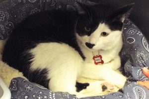 Picture of Max
