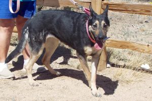Picture of Sonya