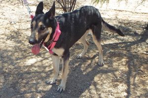 Picture of Sonya