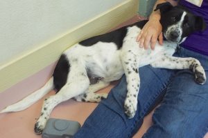 Picture of Ticker