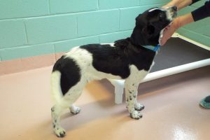 Picture of Ticker