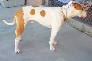 Picture of Zeus