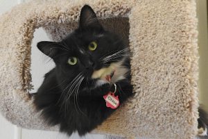 Picture of Chloe