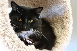 Picture of Chloe