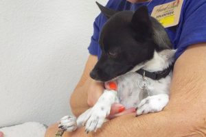 Picture of Juanita