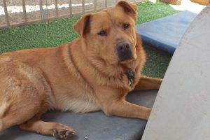 Picture of Mr. Thor