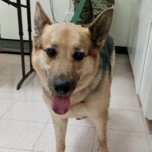 Picture of Sheila