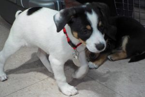 Picture of Daisy May