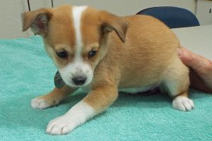Picture of Ellie May