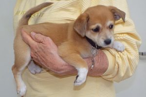Picture of Lily May