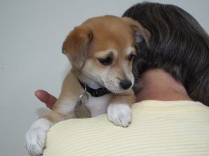Picture of Lily May