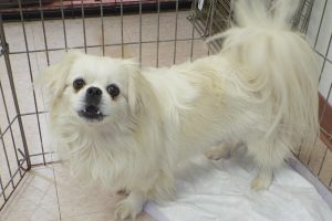 Picture of Lina