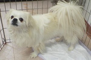 Picture of Lina