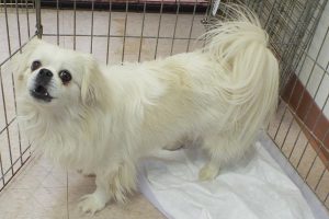 Picture of Lina