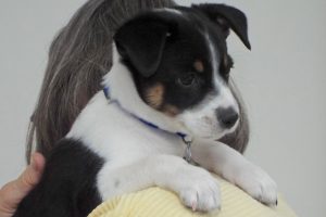 Picture of Lucy May
