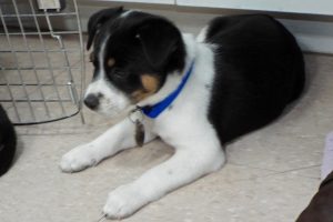 Picture of Lucy May