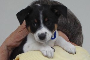 Picture of Lucy May