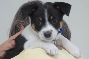 Picture of Lucy May