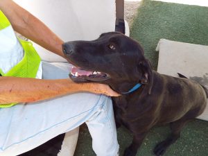 Picture of Mr. Clyde