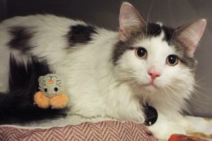 Picture of Nikolai