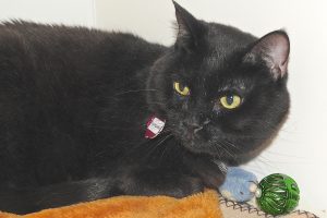 Picture of Samantha
